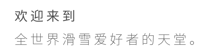環球飛行意大利04- 維思達公務機