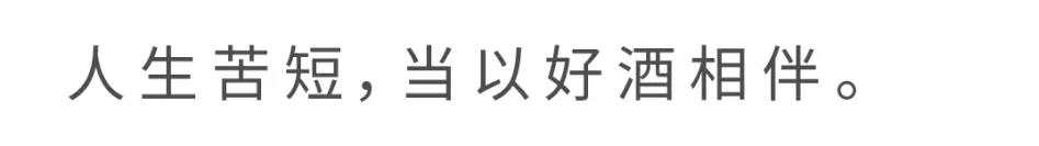 環球飛行法國03- 維思達公務機