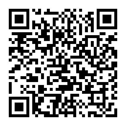 公務機會員卡和包機 05- 維思達公務機