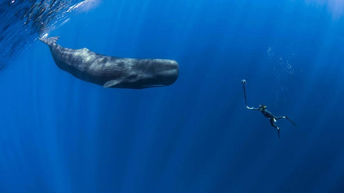 world-oceans-day