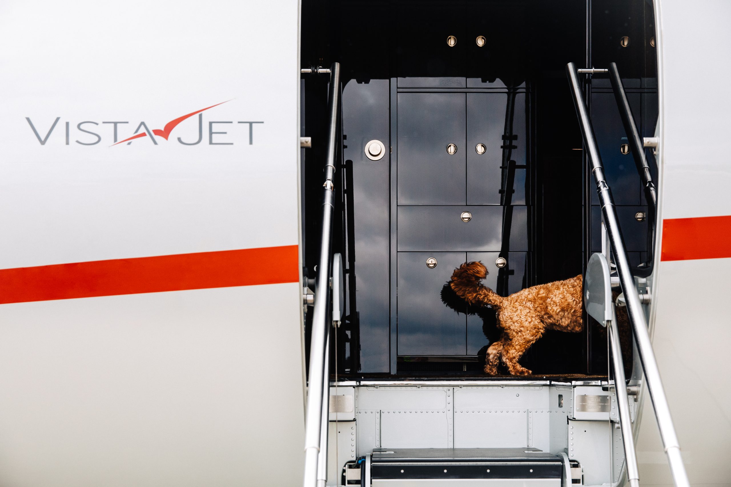 unleashing-adventure-vistajet-reports-rising-demand-in-pet-travel-and-reveals-the-must-visit-destinations-for-this-summer